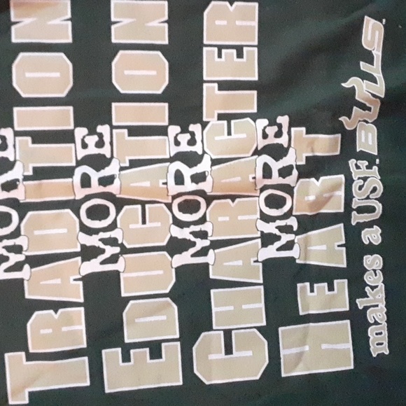 University south Florida usf bulls logo men's tshirt  champion large collegiate - Picture 2 of 4